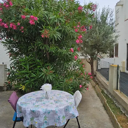 Διαμέρισμα Le Cardinale Terrasse Clim 4 Personnes *